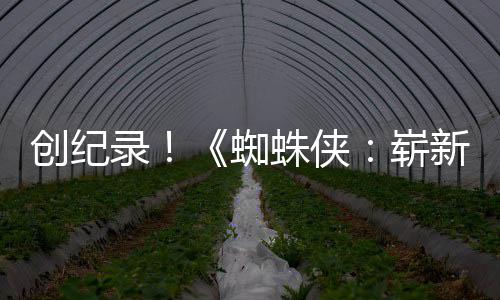 日看破5新之小时蜘蛛侠崭创纪预告亿观录